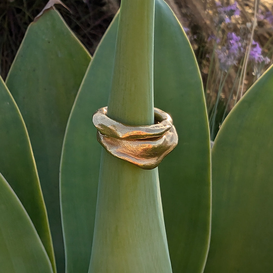 SURF Ring Gullbelagt