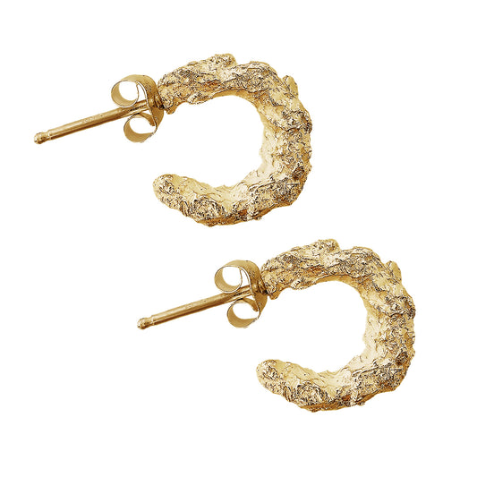 NATURE'S TREASURES SMALL GOLD HOOPS