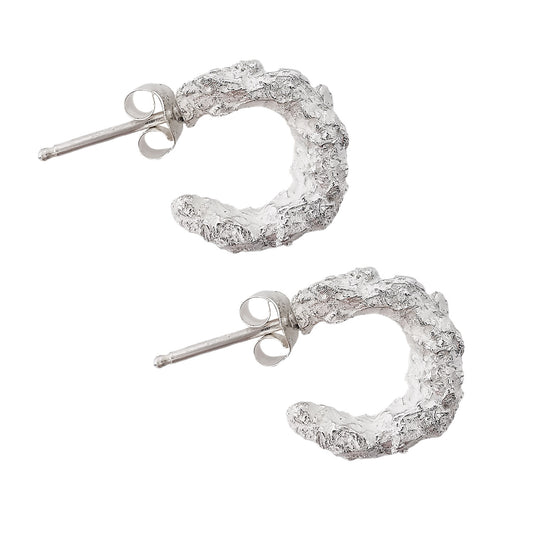 NATURE'S TREASURES SMALL SILVER EARRINGS